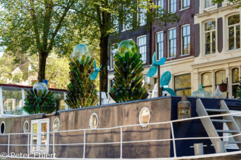 Hausboot mit Glaskunst  Amsterdam Noord-Holland Niederlande by Peter Ehlert in Amsterdam Trip