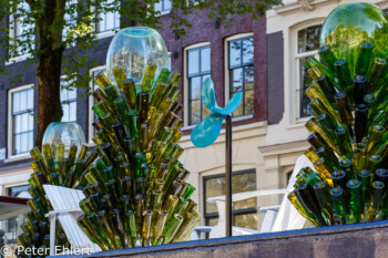 Glasflaschenbaum  Amsterdam Noord-Holland Niederlande by Peter Ehlert in Amsterdam Trip