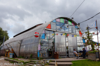 Noorderlicht Café  Amsterdam Noord-Holland Niederlande by Peter Ehlert in Amsterdam Trip