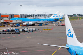 KLM Flieger  Amsterdam Noord-Holland Niederlande by Peter Ehlert in Amsterdam Trip