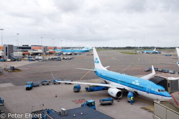 KLM Flieger  Amsterdam Noord-Holland Niederlande by Peter Ehlert in Amsterdam Trip