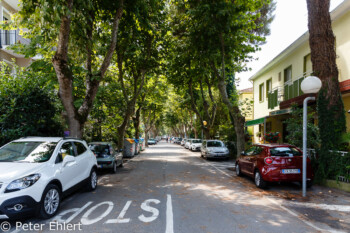 Schattige Straße  Igea Marina Emilia-Romagna Italien by Peter Ehlert in Wellnessurlaub in Bellaria-Igea Marina