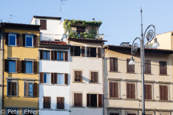 Bunte Häuser  Firenze Toscana Italien by Peter Ehlert in Florenz - Wiege der Renaissance