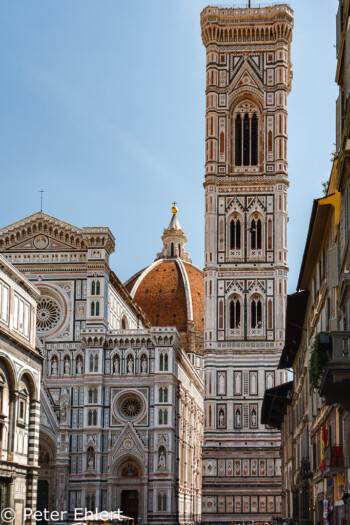 Cattedrale die Santa Maria del Fiore mit Campanile di Giotto  Firenze Toscana Italien by Peter Ehlert in Florenz - Wiege der Renaissance