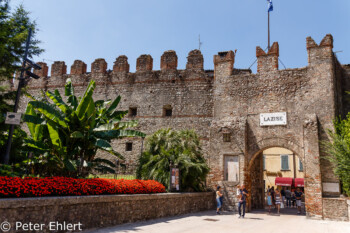 Stadtmauer mit Tor  Lazise Veneto Italien by Peter Ehlert in Lazise am Gardasee