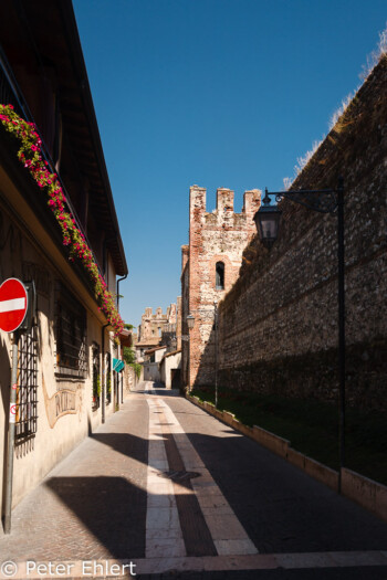 Stadtmauer  Lazise Veneto Italien by Peter Ehlert in Lazise am Gardasee