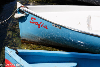 Boot namens Sofia  Lazise Veneto Italien by Peter Ehlert in Lazise am Gardasee