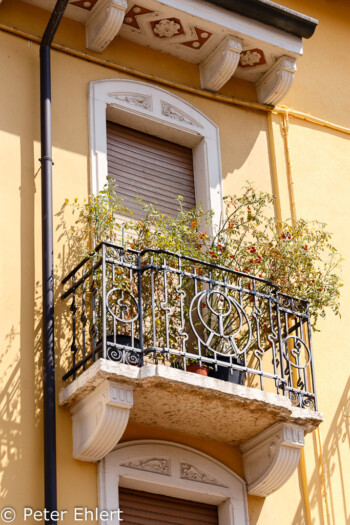 Balkon  Lazise Veneto Italien by Peter Ehlert in Lazise am Gardasee