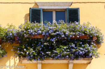 Balkon  Lazise Veneto Italien by Peter Ehlert in Lazise am Gardasee