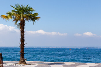 Uferpromenade  Lazise Veneto Italien by Peter Ehlert in Lazise am Gardasee