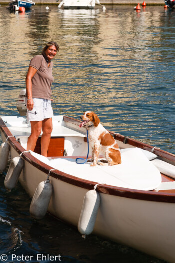 Boot bei Hafenausfahrt mit Hund  Lazise Veneto Italien by Peter Ehlert in Lazise am Gardasee