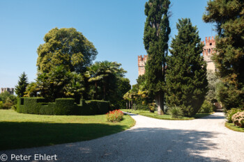Garten mit Haus am See  Lazise Veneto Italien by Peter Ehlert in Lazise am Gardasee