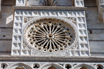 Pisa Toscana Italien by Peter Ehlert in Abstecher nach Pisa