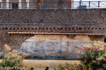Mauer mit Zeichnungen  Pompei Campania Italien by Peter Ehlert in Pompeii und Neapel