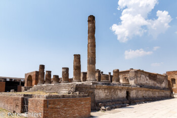 Heiligtum der öffentlichen Laren  Pompei Campania Italien by Peter Ehlert in Pompeii und Neapel