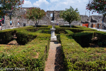 Garten  Pompei Campania Italien by Peter Ehlert in Pompeii und Neapel