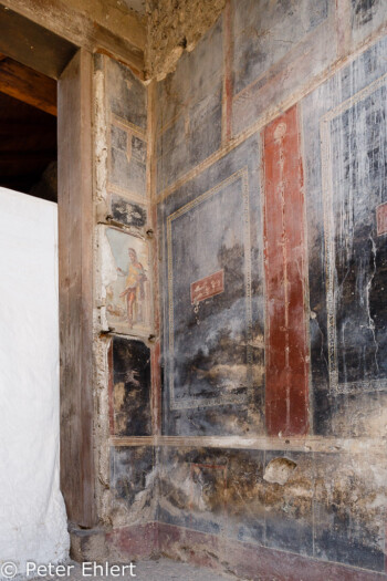 Wandmalerei  Pompei Campania Italien by Peter Ehlert in Pompeii und Neapel