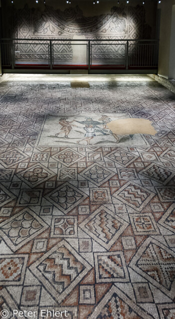 Haus der Steinteppiche - Domus dei Tappeti di Pietra  Ravenna Emilia-Romagna Italien by Peter Ehlert in Ravenna und Cesenatico