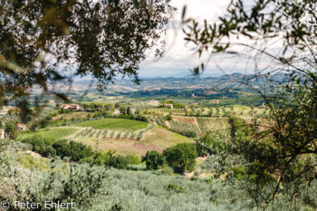 Blick über die Toscana  San Gimignano Toscana Italien by Peter Ehlert in San Gimignano