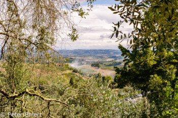 Blick über die Toscana  San Gimignano Toscana Italien by Peter Ehlert in San Gimignano