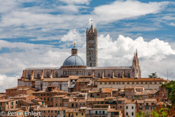 Blick auf den Dom und die Altstadt  Siena Toscana Italien by Peter Ehlert in Siena auf der Durchreise
