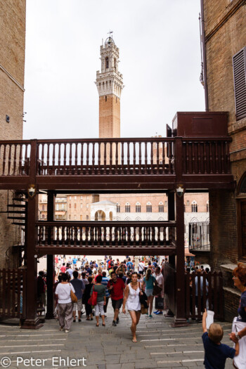 Durchgang zur Piazza del Campo  Siena Toscana Italien by Peter Ehlert in Siena auf der Durchreise