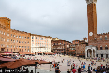 Piazza vor Palazzo Pubblico  Siena Toscana Italien by Peter Ehlert in Siena auf der Durchreise