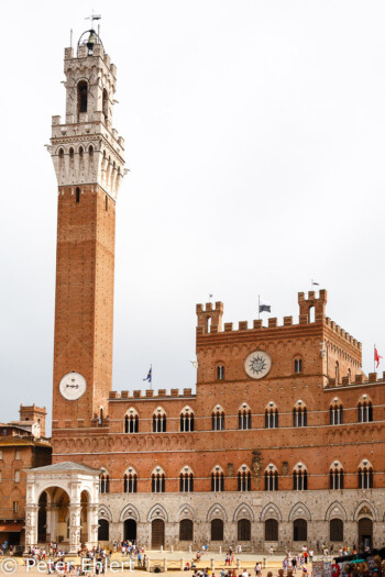 Palazzo Pubblico mit Torre del Mangia  Siena Toscana Italien by Peter Ehlert in Siena auf der Durchreise