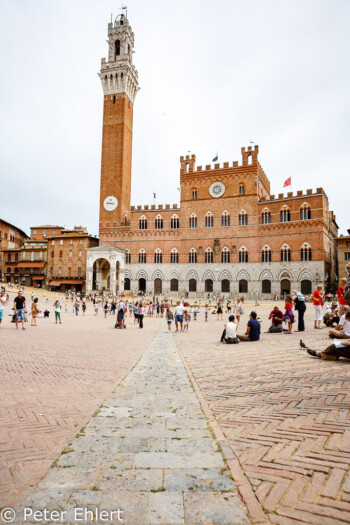 Palazzo Pubblico mit Torre del Mangia  Siena Toscana Italien by Peter Ehlert in Siena auf der Durchreise