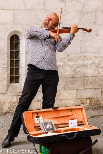 Violinist Milan Kurc  Siena Toscana Italien by Peter Ehlert in Siena auf der Durchreise