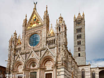 Portal des Duomo  Siena Toscana Italien by Peter Ehlert in Siena auf der Durchreise