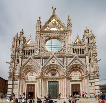Portal des Duomo  Siena Toscana Italien by Peter Ehlert in Siena auf der Durchreise