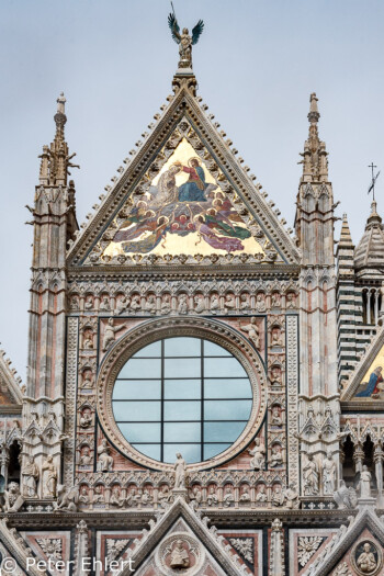 Portal des Duomo  Siena Toscana Italien by Peter Ehlert in Siena auf der Durchreise