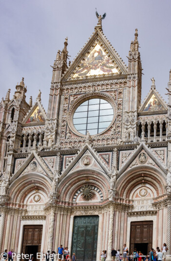 Portal des Duomo  Siena Toscana Italien by Peter Ehlert in Siena auf der Durchreise