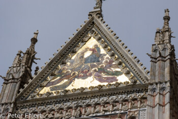 Portal des Duomo  Siena Toscana Italien by Peter Ehlert in Siena auf der Durchreise