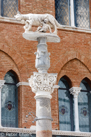 Wölfin mit Romulus und Remus  Siena Toscana Italien by Peter Ehlert in Siena auf der Durchreise