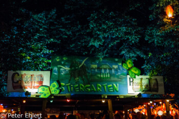 Stiergarten  München Bayern Deutschland by Peter Ehlert in Sommer-Tollwood Festival