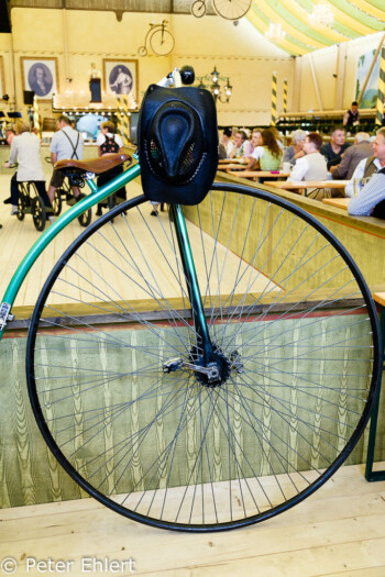 Velodrom  München Bayern Deutschland by Peter Ehlert in Münchner Oktoberfest