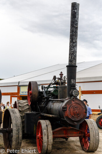 Historischer Traktor  München Bayern Deutschland by Peter Ehlert in Münchner Oktoberfest