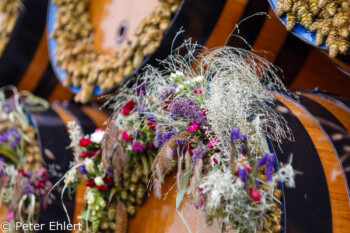 Blumen un Hopfen am Fass  München Bayern Deutschland by Peter Ehlert in Münchner Oktoberfest