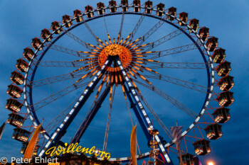 Riesenrad  München Bayern Deutschland by Peter Ehlert in Münchner Oktoberfest