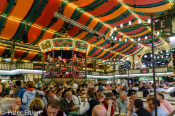 Marstall Zelt  München Bayern Deutschland by Peter Ehlert in Münchner Oktoberfest