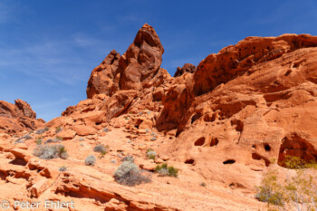 Visitor Center   Nevada USA by Peter Ehlert in Valley of Fire - Nevada State Park