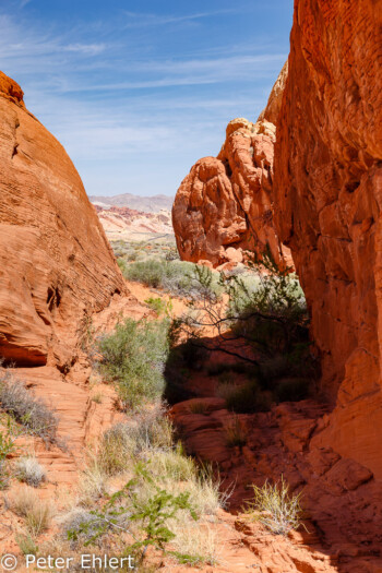 Rainbow Vista   Nevada USA by Peter Ehlert in Valley of Fire - Nevada State Park