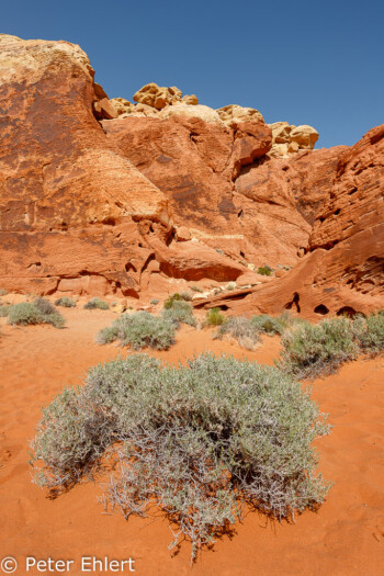 Rainbow Vista   Nevada USA by Peter Ehlert in Valley of Fire - Nevada State Park