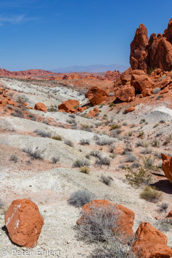 Fire Wave Trail   Nevada USA by Peter Ehlert in Valley of Fire - Nevada State Park