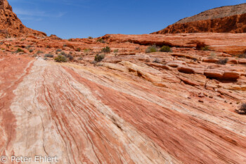 Fire Wave Trail   Nevada USA by Peter Ehlert in Valley of Fire - Nevada State Park