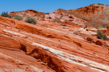 Fire Wave Trail   Nevada USA by Peter Ehlert in Valley of Fire - Nevada State Park