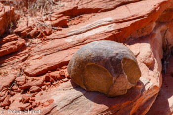 Fire Wave Trail   Nevada USA by Peter Ehlert in Valley of Fire - Nevada State Park