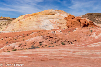 Fire Wave Trail   Nevada USA by Peter Ehlert in Valley of Fire - Nevada State Park